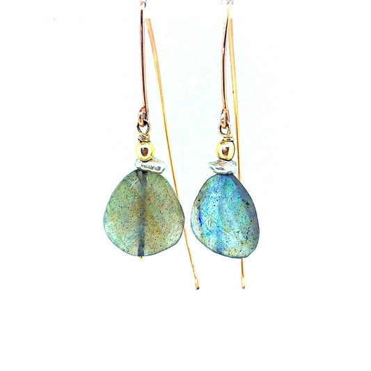 Labradorite Fish Hook Earrings